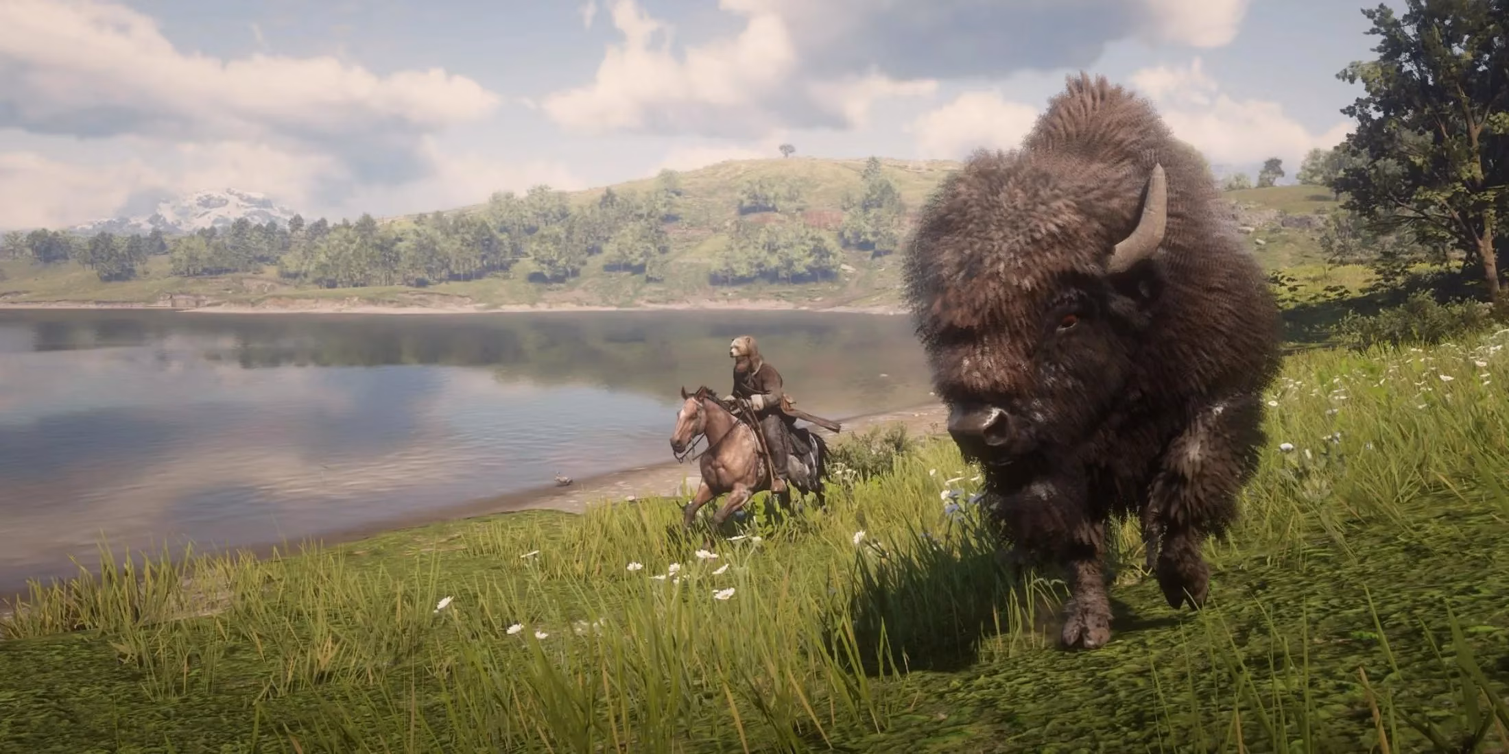 700-hour-player-discovers-startling-wildlife-detail-in-red-dead-redemption-2-image-0