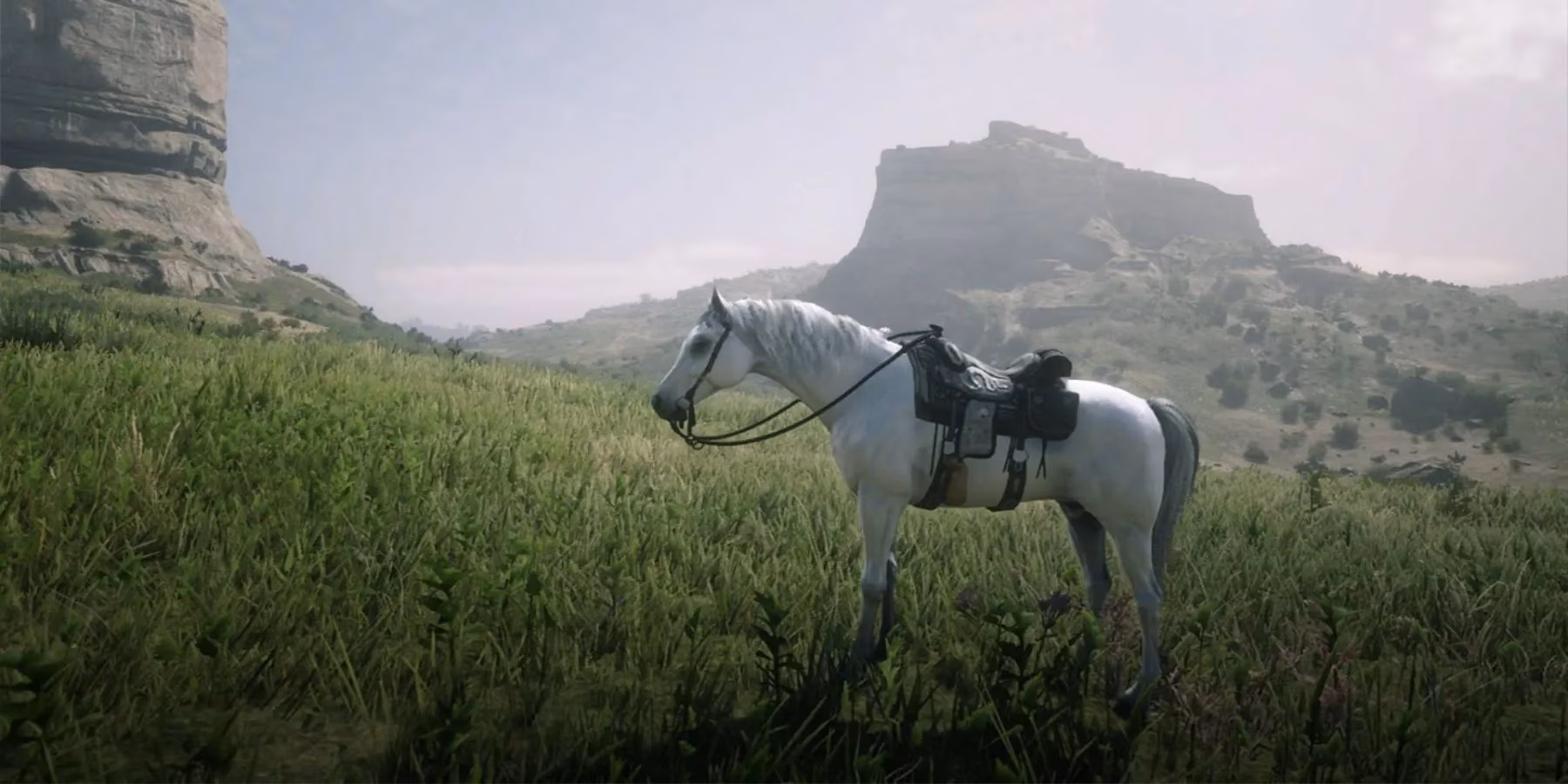 my-tragic-tango-with-a-ghost-a-white-arabian-horse-tale-image-0